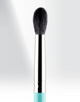 221 - MY BUFFING BLENDER BRUSH