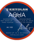 Aquacolor 55ML