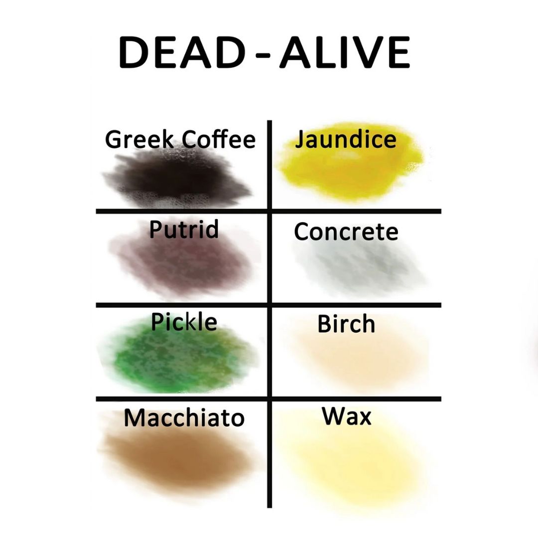 SideShow - Paleta Dead Alive