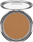Ultra Dual Finish Powder