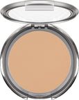 Ultra Dual Finish Powder