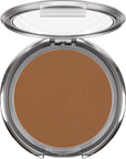 Ultra Dual Finish Powder