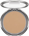 Ultra Dual Finish Powder