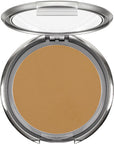 Ultra Dual Finish Powder