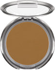 Ultra Dual Finish Powder