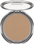 Ultra Dual Finish Powder
