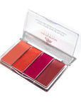 Paleta para mejillas y labios Dewy