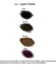 Paleta de luces bajas AlliedFX (BlueBird)