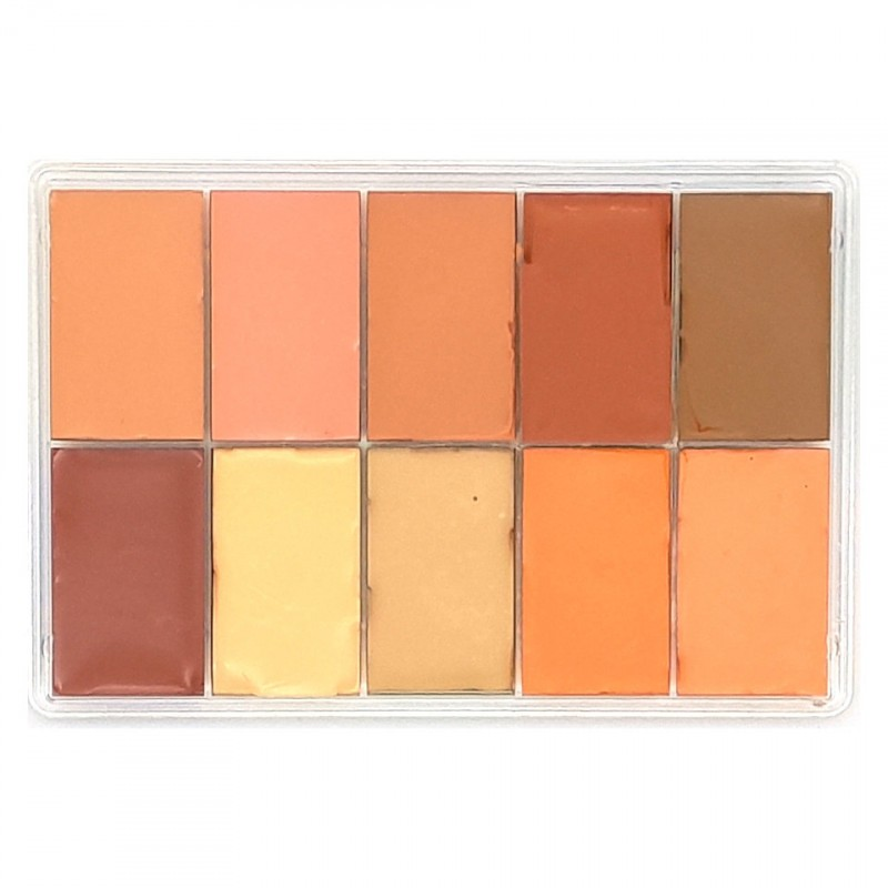 Palette of 10 concealers/foundations