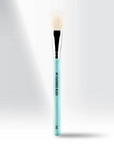 163 - MY FEATHERED BLUSH BRUSH
