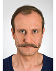 bigote
