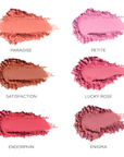 Close-Up Blurring Powder Blush