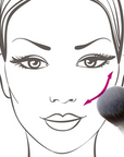 Blush Makeup Brush