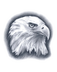 Eagle Tattoo