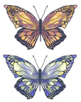 Two Colour Butterflies Tattoo